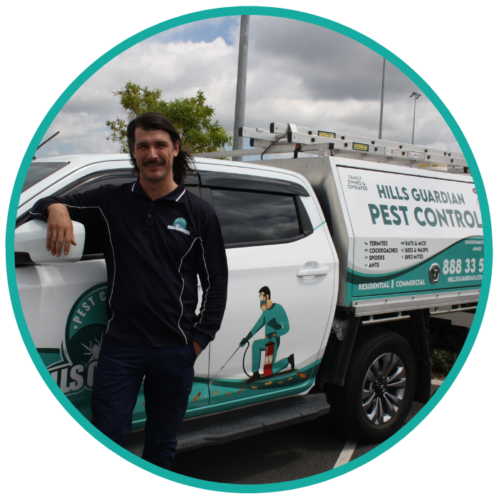 termite treatment cost