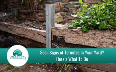 Signs of Termites in Yard