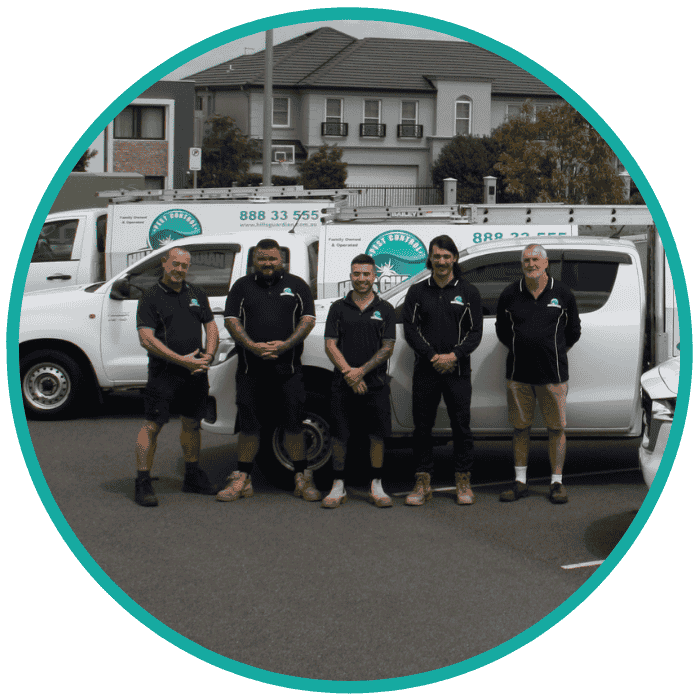 subfloor ventilation specialists