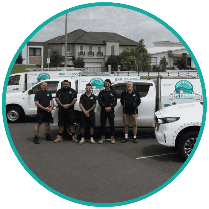 professional termite bait stations professional termite bait stations