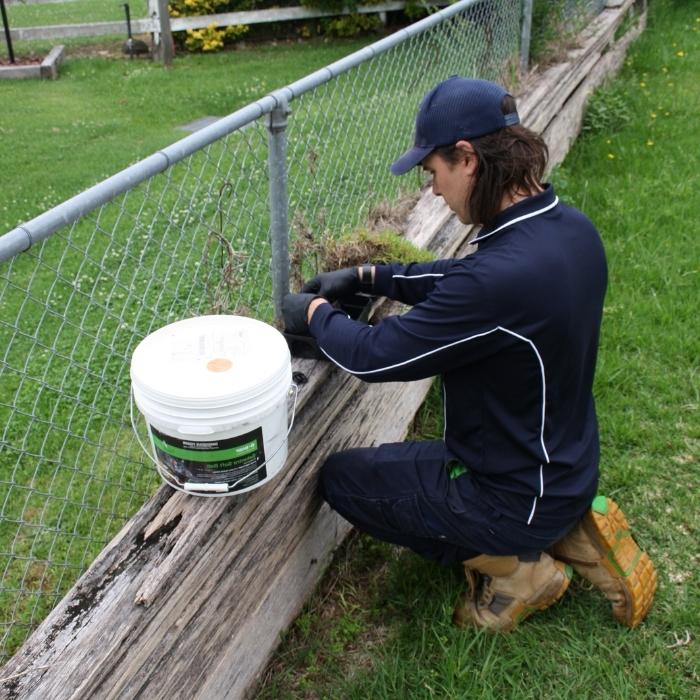 rodent exterminator rodent exterminator