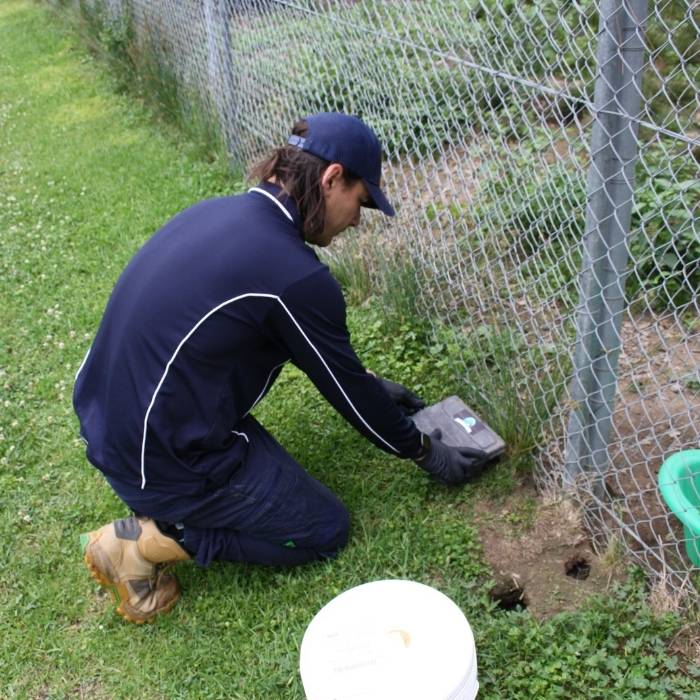 rodent removal near me rodent removal near me