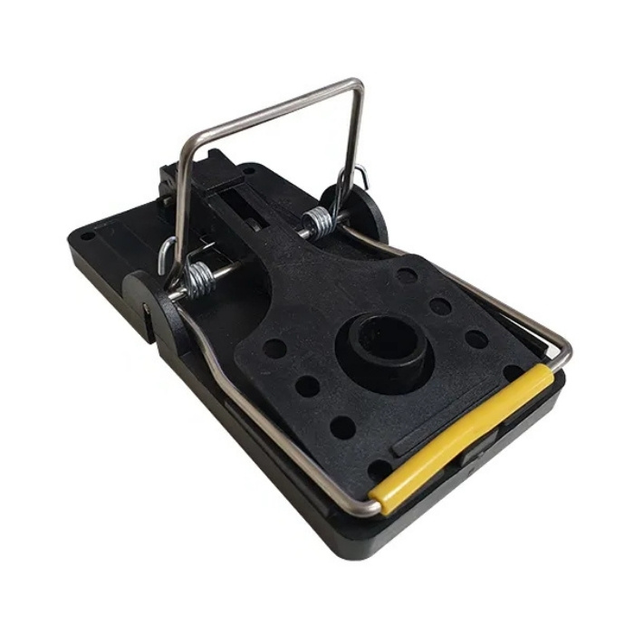 best way to get rid of rats