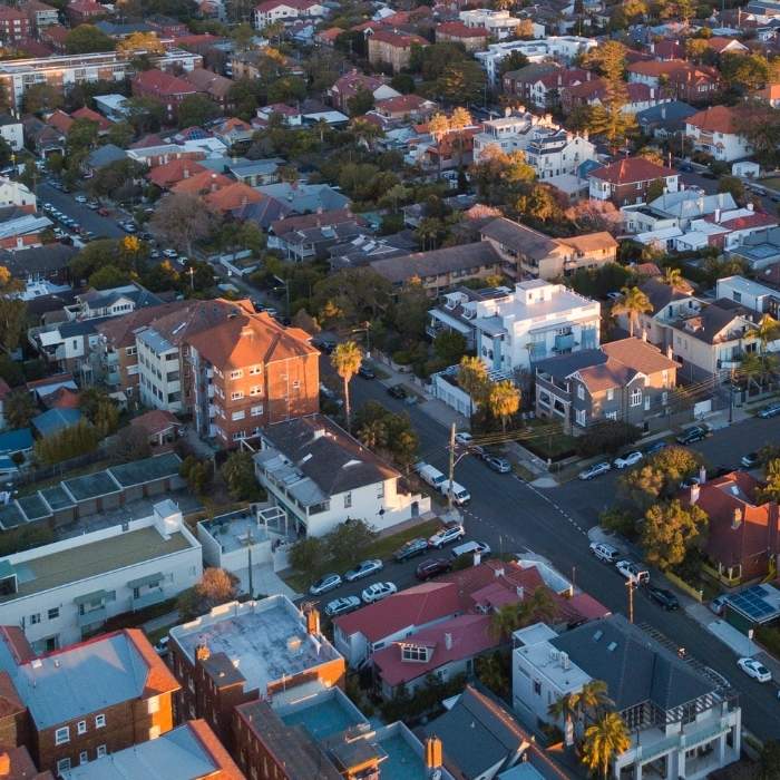 rat pest control near me