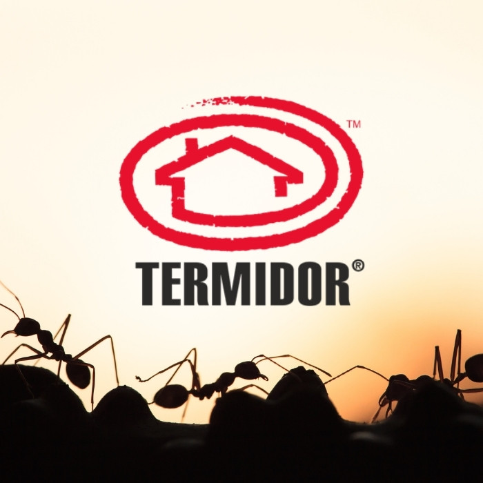 ant treatment for house