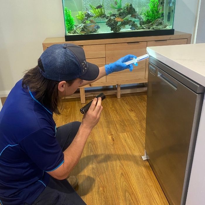termite inspection parramatta