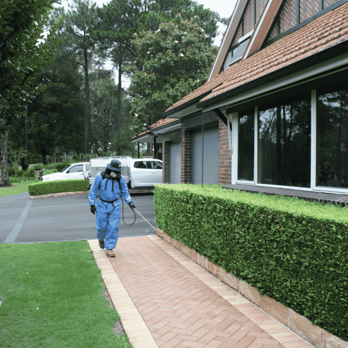 Hills District Pest Control