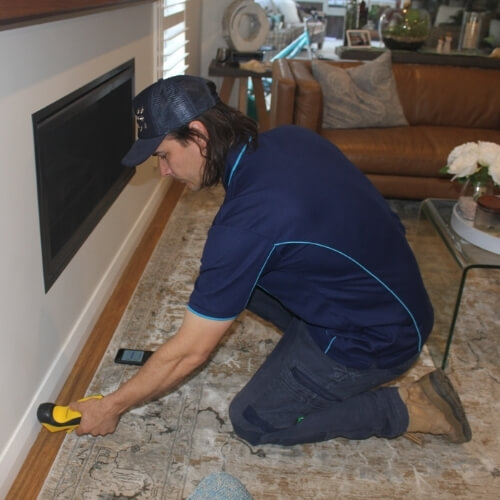 Pest Control Services Hills District