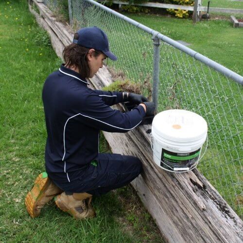 Rat Control Services