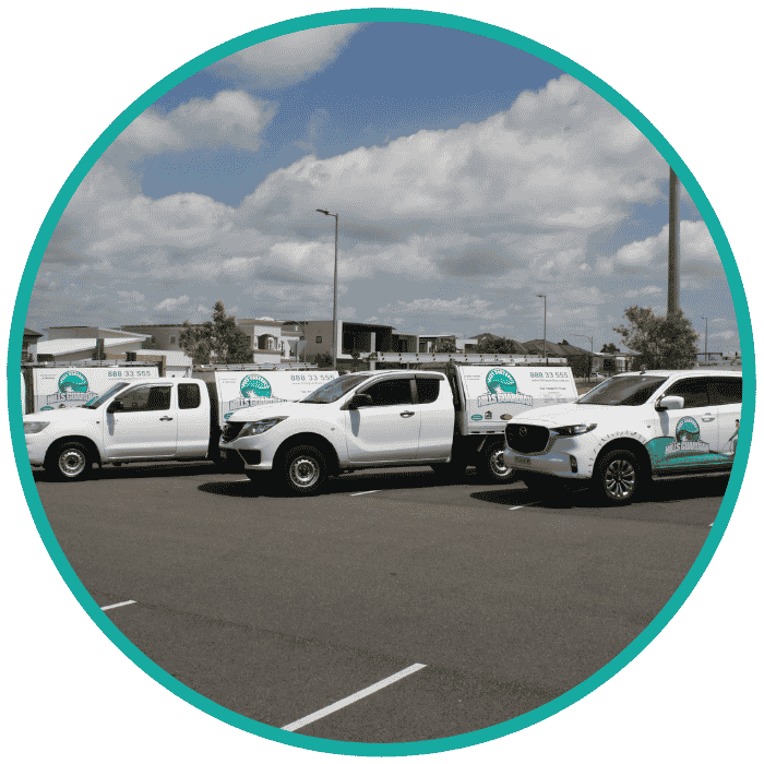 subfloor ventilation specialists